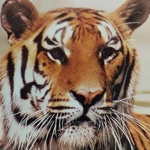 Meet your Posher, Edgar